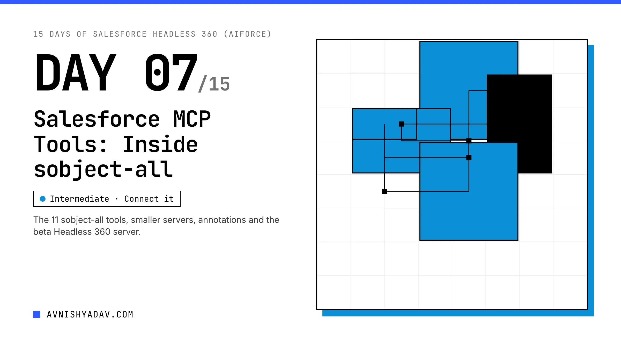 Day 7/15 — Explore Salesforce MCP Tools & sobject-all